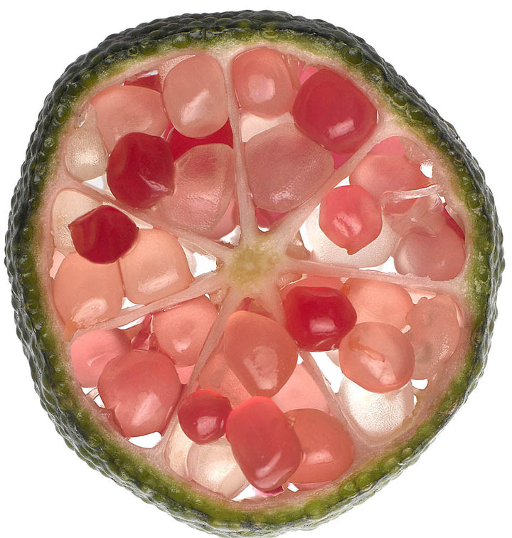 Finger Lime Caviar Pink 40ml