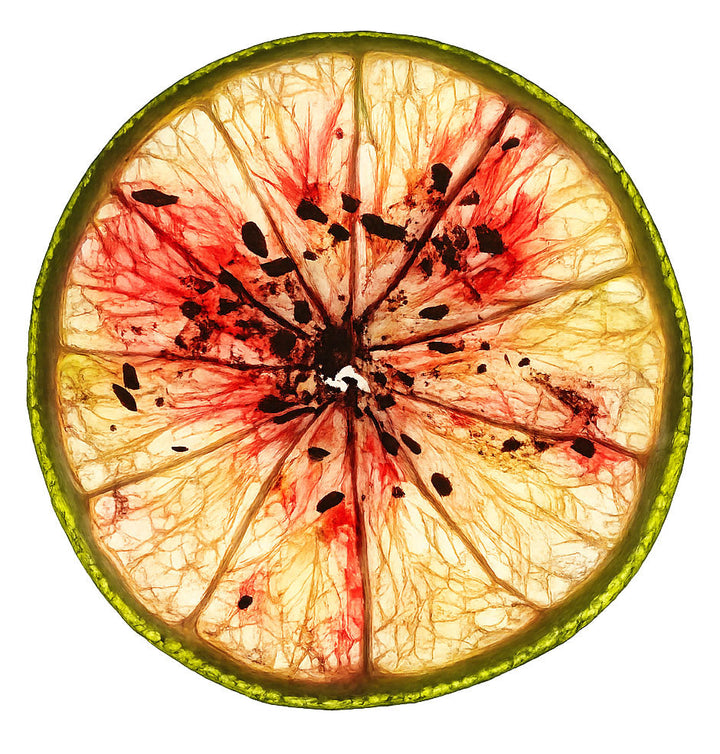 Farm Dried Citrus Wheels with a Rainbow of Native Spices