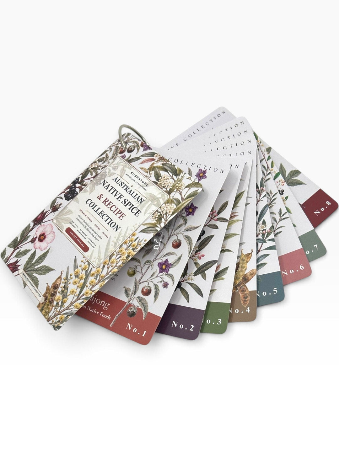 Rare Native Spice Recipe Card Trio