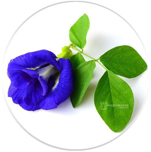 Flower Extract - b&
