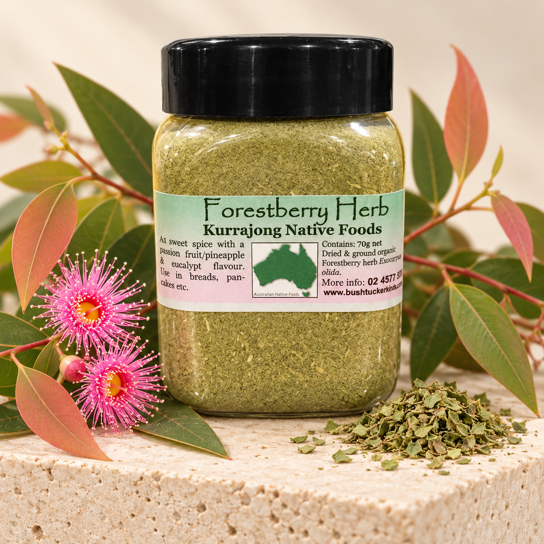 Forestberry Herb