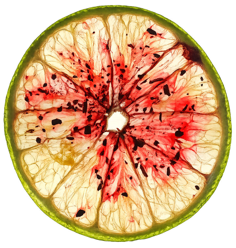 Farm Dried Citrus Wheels with a Rainbow of Native Spices