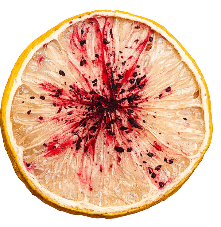 Farm Dried Citrus Wheels with a Rainbow of Native Spices