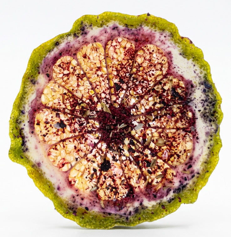 Farm Dried Citrus Wheels with a Rainbow of Native Spices