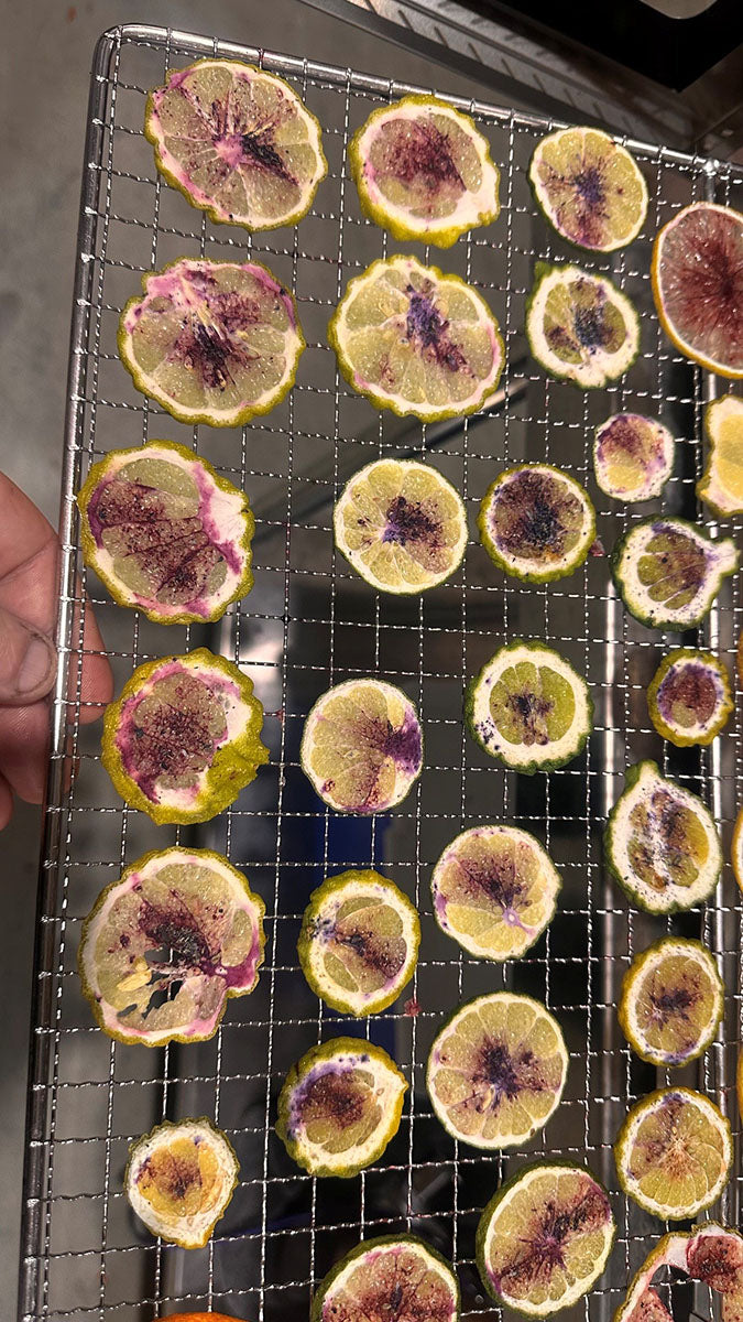 Farm Dried Citrus Wheels with a Rainbow of Native Spices
