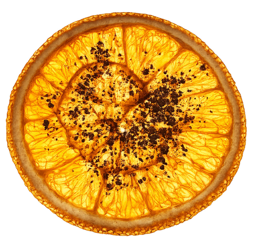 Farm Dried Citrus Wheels with a Rainbow of Native Spices