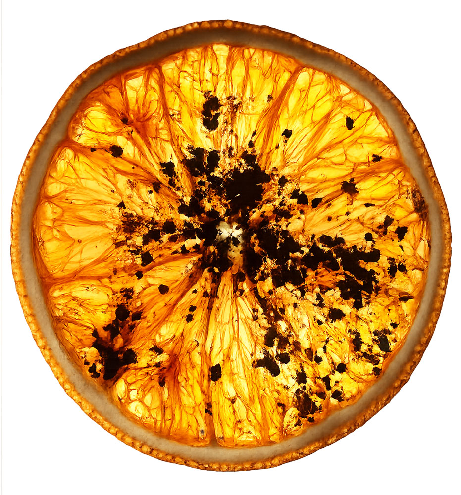 Farm Dried Citrus Wheels with a Rainbow of Native Spices